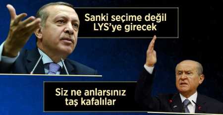 Bahçeli'den Formül Eleştirilerine cevap: Taş Kafalılar