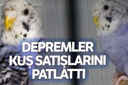 Çorum'da Deprem sonrası evcil hayvan satışları arttı 