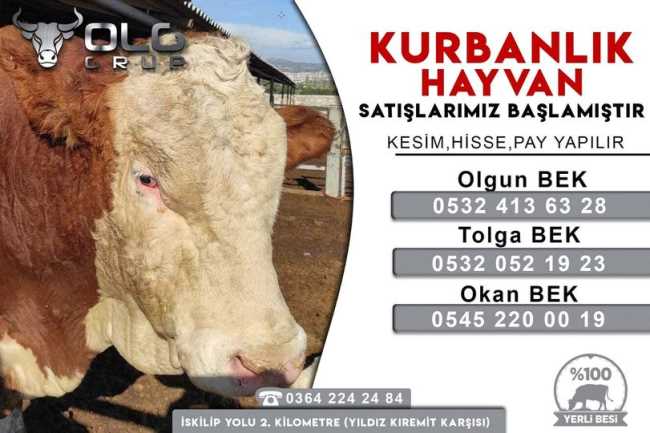 Olgun Et Kombine entegre Tesisi