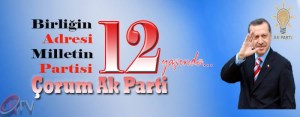 ÇORUM -  AK PARTİ 12.YAŞ KUTLAMALARI