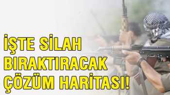 2 Yıl içinde silah bıraktıracak çözüm haritası