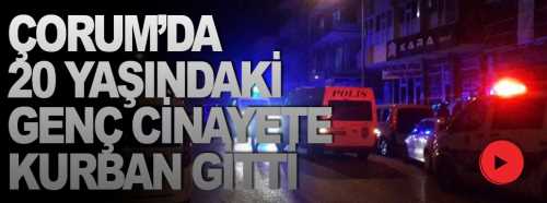 20 Yaşındaki bir genç kavgada öldürüldü