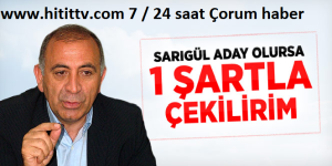 Gürsel Tekin'in, Sarıgül'ün de adaylığı için birtek şartla geri çekilirim