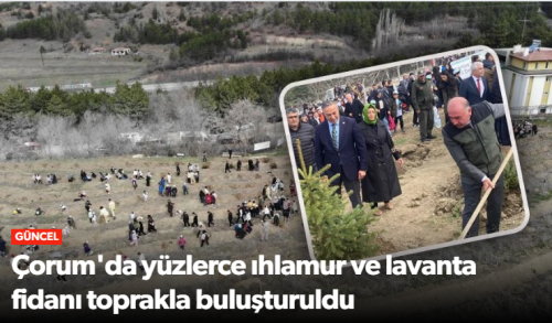 21 Mart Dünya Ormancılık Günü ve Orman Haftası Kutlandı!