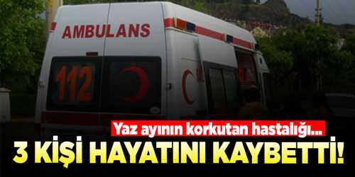 3 kişi Kırım Kongo Kanamalı Ateşi nedeniyle hayatını kaybetti 