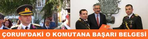 30 Ağustos törenlerinde yaptığı konuşma ile gözyaşlarına hakim olamayan Gürses'e Vali Necmeddin Kılıç  başarı belgesi verdi