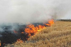 BUNDAN SONRA ANIZ YAKAN YANDI