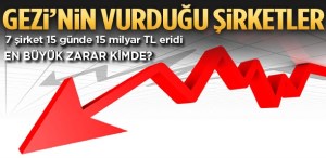 Gezi Eylemleri pahalıya Geldi