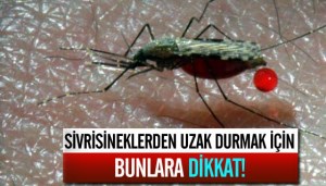 Sivrisineklerden Korunmanın yolları