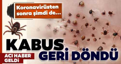 69 yaşındaki Elvan Sakın Keneden  Hayatını Kaybetti