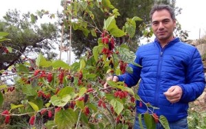 MEVSİMLER KARIŞTI AĞAÇLAR ÇİÇEK AÇTI