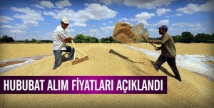 Hububat fiyatları açıklandı