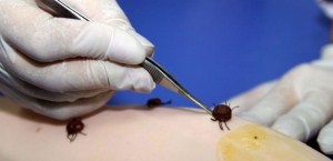 EYVAH KENE Aman dikkat! Kabus geri döndü