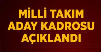 A Milli Takımın İsveç Maçı Kadrosu Açıklandı