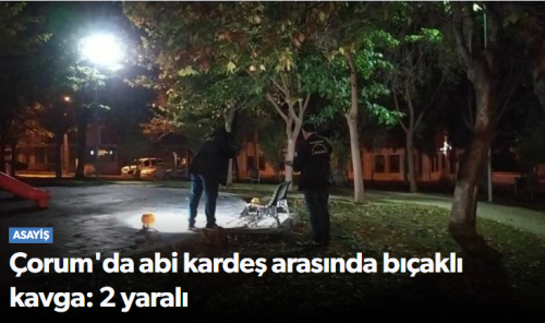 Abi-Kardeş arasında bıçaklı kavga