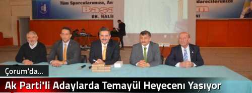 Ak Parti'li Adaylarda Temayül Heyecenı Yaşıyor