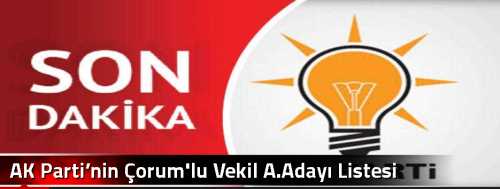 AK Parti’nin Çorum'lu Vekil A.Adayı Listesi