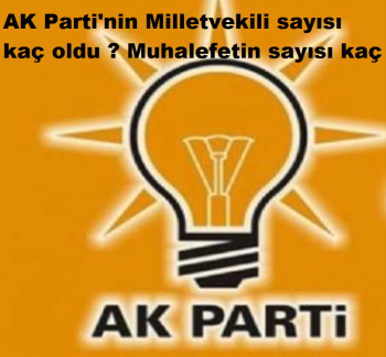 AK Parti'nin Milletvekili sayısı kaç oldu ?