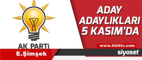 Ak Partide Temayül yoklaması Kasım'da 