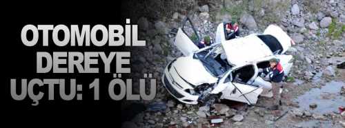 Alaca'da Otomobil Dereye Uçtu