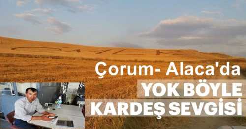 Alaca'da Vefat eden kardeşinin Adını Tarlaya Yazdı