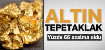 Altın tepetaklak; Yüzde 66 azalma var