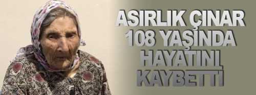 Asırlık Çınar hayatını kaybetti