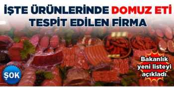 At, eşek domuz eti yediren 11 Vijdansız  firma teşhir edildi