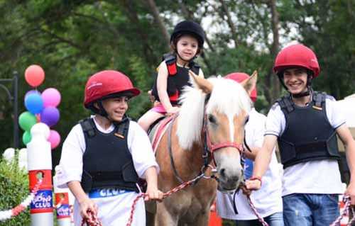 AT SEVGİSİ MİDİLLİ İLE BAŞLAYACAK