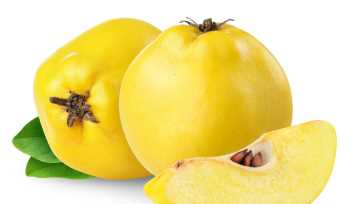 Ayva çekirdeğinin 6 faydası 