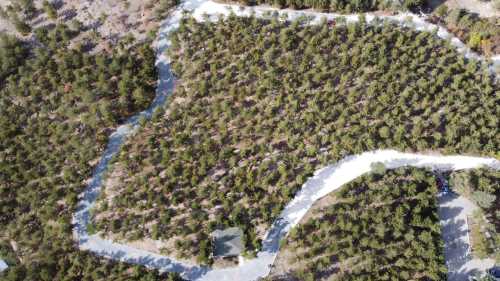 Bahabey Çamlığına 8 Bin metre kilit taşı!