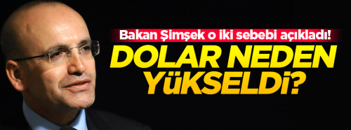 Bakan Mehmet Şimşek, Dolar'ın neden yükseldiğini açıkladı!