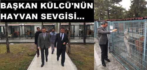 BAŞKAN KÜLCÜ'NÜN HAYVAN SEVGİSİ