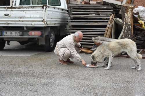 Başkan Zeki Gül’den örnek davranış