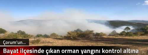 Bayat ilçesinde çıkan orman yangını kontrol altına alındı