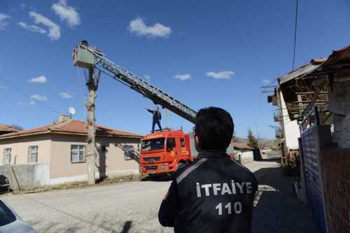 Belediye araç gönderdi leyleğin yuvasını tamir etti