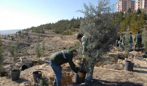 Belediye Çorum’u yeşille özdeşleşen bir şehir haline getirmek için yoğun bir tempo içerisinde çalışıyor