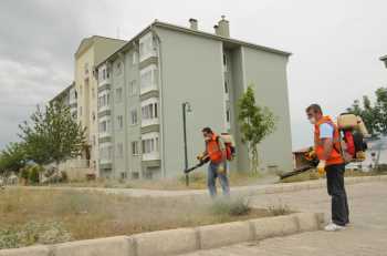 Belediye’den sinek ve haşereyle mücadele seferberliği