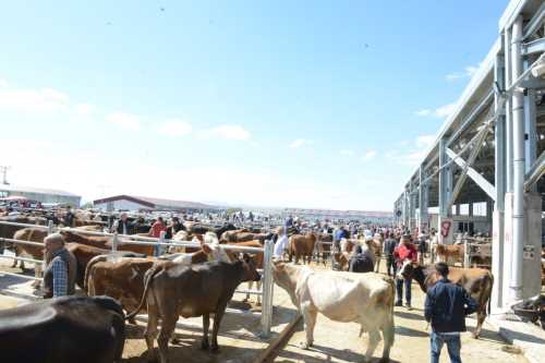 Belediyeden Kurban Bayramı tedbirleri