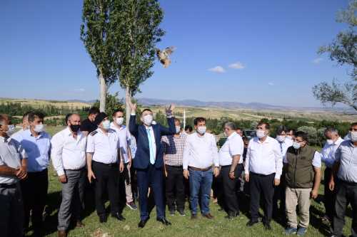 Biyolojik mücadelede Keklik timi doğaya bırakıldı