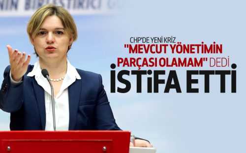 Böke CHP'deki görevlerinden istifa etti