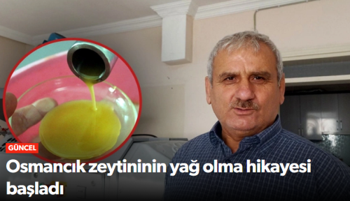 Bölgenin ilk ve tek zeytin ve zeytinyağı üretimi başladı!