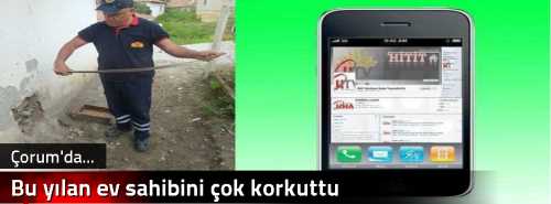 Bu yılan ev sahibini çok korkuttu