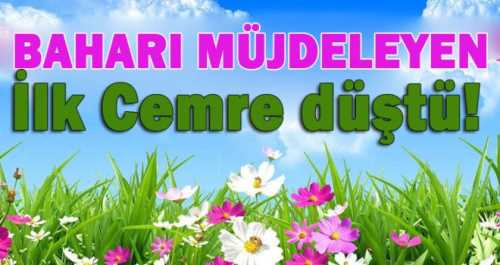 Bugün günlerden CEMRE 