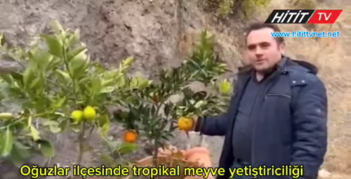 Burası ne Antalya ne Muğla? Çorum'un Oğuzlar İlçesi 