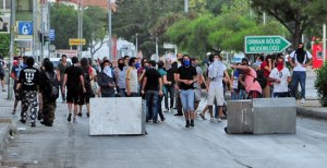 BU NASIL AĞAÇ SEVGİSİ