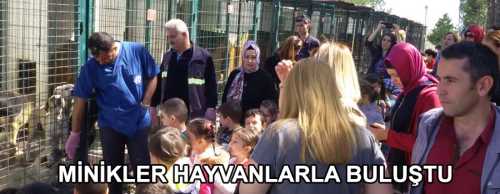 Çorum Bahçelievler Mesleki ve Teknik Anadolu Lisesi Uygulama Anaokulu Öğrencileri “Sadece Sevmek Yetmez” projesi 