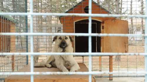 Çorum Belediyesi Basın ve Halkla ilişkiler birimi son günlerde yerel ve yaygın basında da yer bulan ve kamuoyu tarafından  konuyla ilgili açıklama yaptı