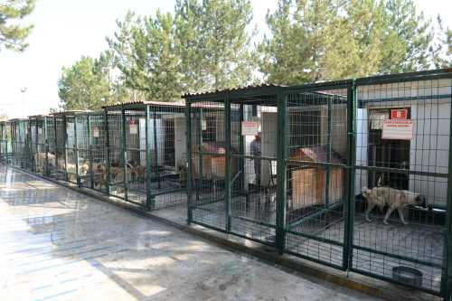 Çorum Belediyesi İnceleme Başlattı