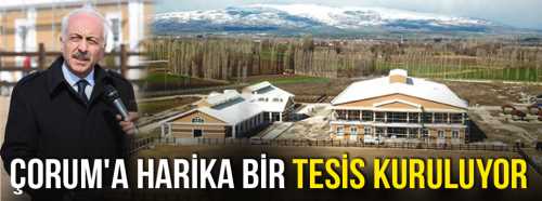 Çorum Binicilik Tesisi gün sayıyor